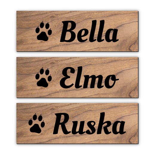 Lemmikin nimikyltti tassulla